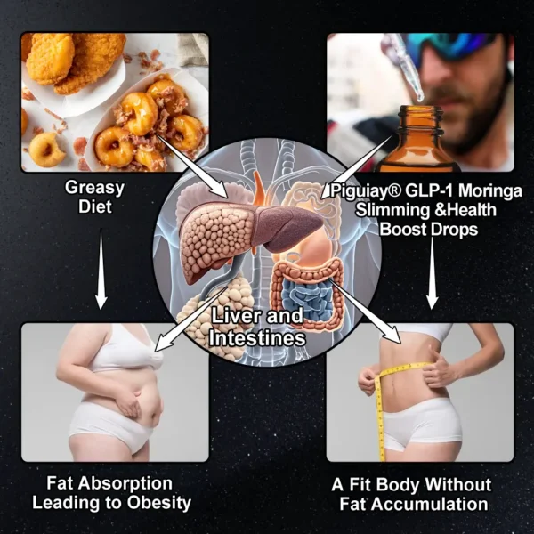 𝑷𝒊𝒈𝒖𝒊𝒂𝒚® 𝑮𝑳𝑷-1 𝑺𝒍𝒊𝒎𝒎𝒊𝒏𝒈 & 𝑯𝒆𝒂𝒍𝒕𝒉 𝑩𝒐𝒐𝒔𝒕 𝑫𝒓𝒐𝒑𝒔 | 𝑭𝒐𝒐𝒅-𝒈𝒓𝒂𝒅𝒆 𝒇𝒂𝒕 𝒃𝒖𝒓𝒏𝒆𝒓 | 𝑫𝒆𝒗𝒆𝒍𝒐𝒑𝒆𝒅 𝒃𝒚 𝑶𝒃𝒆𝒔𝒊𝒕𝒚 𝑪𝒂𝒏𝒂𝒅𝒂🍀