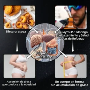 Piguiay® GLP-1 Gotas saludables adelgazantes de Moringa (Quemador de grasa de grado alimenticio – Desarrollado por expertos en secretología y metabolismo) 🎁