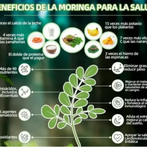 Piguiay® GLP-1 Gotas saludables adelgazantes de Moringa (Quemador de grasa de grado alimenticio – Desarrollado por expertos en secretología y metabolismo) 🎁