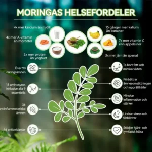 Piguiay® GLP-1 Moringa Viktminskning Hälsoboost Droppar(Livsmedelsgodkänd fettförbrännare – Utvecklad av experter inom sekretologi och metabolism)🇸🇪