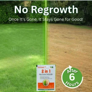 Official Store:Aonreef™ 2 in 1 Max Power Herbicide - 6-Hour Action – No more waiting