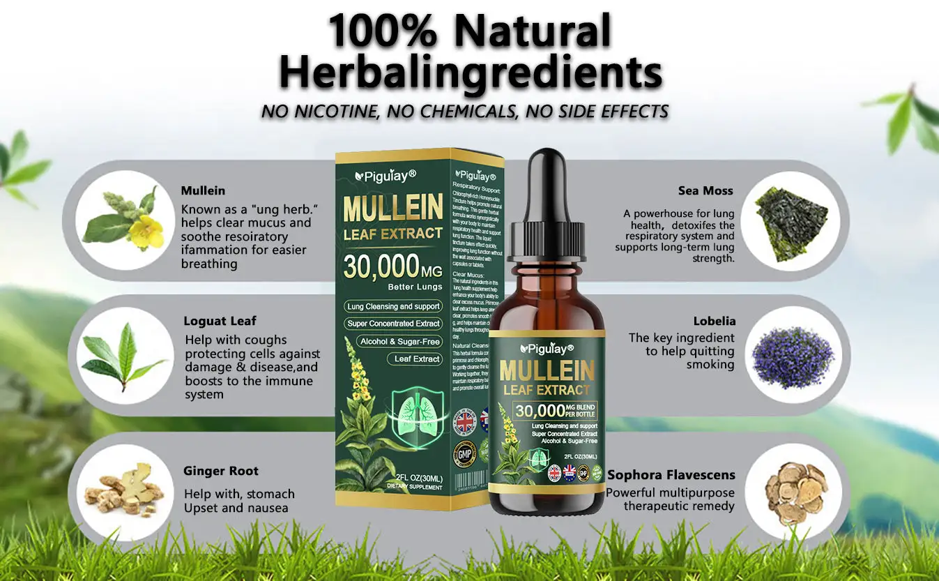 ๐ฃ๐ถ๐ด๐๐ถ๐ฎ๐ยฎ ๐ข๐ฟ๐ด๐ฎ๐ป๐ถ๐ฐ ๐๐๐ป๐ด ๐๐น๐ฒ๐ฎ๐ป๐๐ถ๐ป๐ด ๐ ๐๐น๐น๐ฒ๐ถ๐ป ๐๐ฒ๐ฎ๐ณ ๐๐
๐๐ฟ๐ฎ๐ฐ๐ ๐๐ฟ๐ผ๐ฝ๐