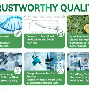 ๐๐ช๐ง๐๐ก๐ช๐ญ๐คยฎ๐ด๐๐๐๐๐๐ฎ ยท ๐๐ฒ๐ฟ๐ฏ๐ฒ๐ฟ๐๐ฃ๐ ร ๐๐ผ๐+ ๐๐-๐ข๐ง-๐ ๐๐ฑ๐๐ฎ๐ป๐ฐ๐๐ ๐๐๐ฃ๐ค ๐๐๐๐ง๐ค๐ฃ๐๐๐๐ฅ๐ ๐๐๐ญ๐๐