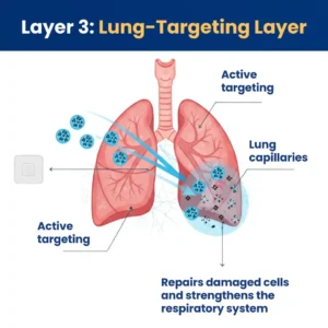 RZXEA™ Tri-NanoTargetCOPD Relief Patch